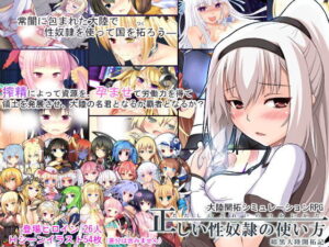 同人エロゲームシーン4：正しい性奴●の使い方-暗黒大陸開拓記-