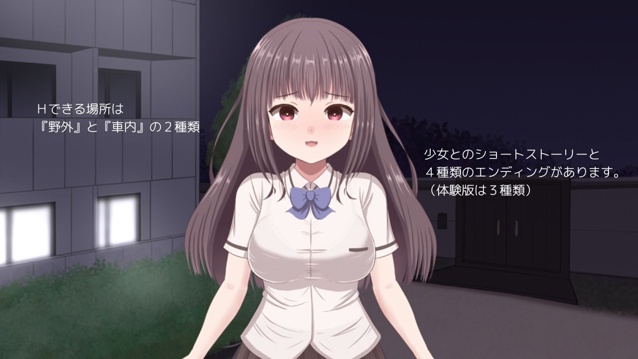 【家出少女】弱みを握った少女を犯すエロゲーム！欲望吐き出しちゃえ 同人エロゲーム シミュレーション 画像6
